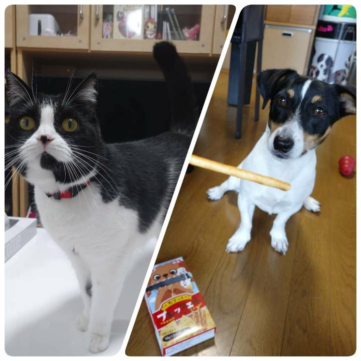 De9e2652 6def 4c55 90e8 37a4e1385af6 1564229347852