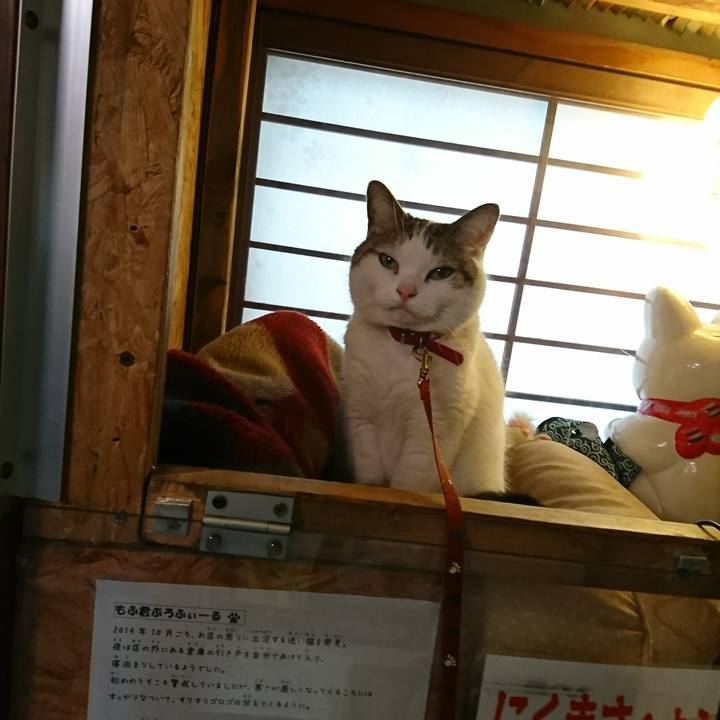 De9e468a f14c 4891 b8f7 d8b6a62e1138 1520481912797