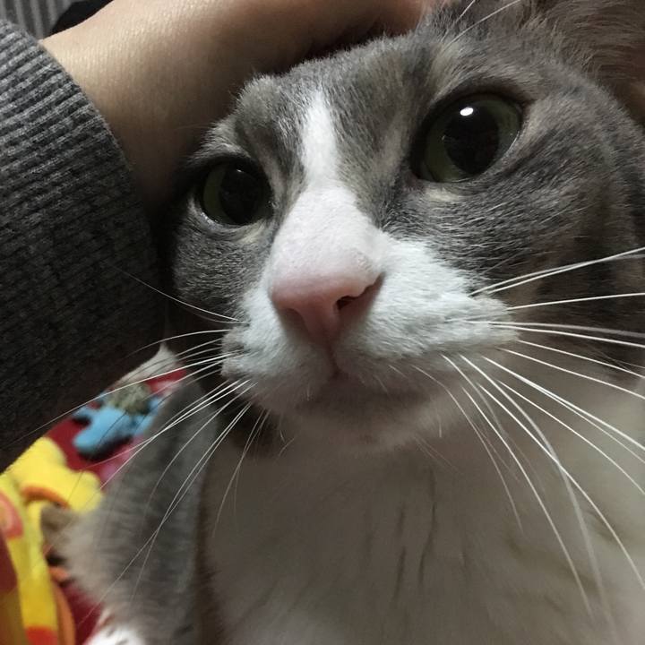 De9e591a 3d6e 4a22 9fcc 382a28f75e62 1521595879615