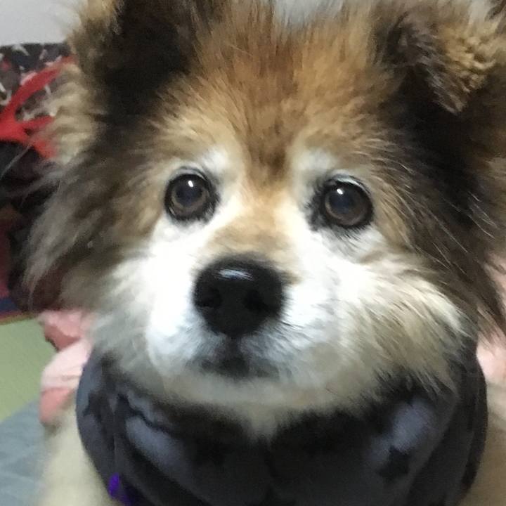 De9e5fde 7786 4c1b 92e7 6e7d0331d868 1552153172169