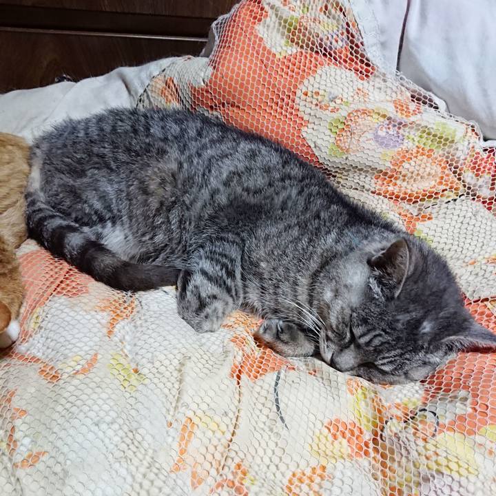 De9e7e94 0138 4486 b7f0 78a42b8b30db 1572439396867