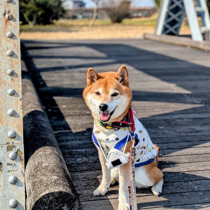 De9ea3ff a6ab 4555 9fdd 815532da5a5b 1771765644387