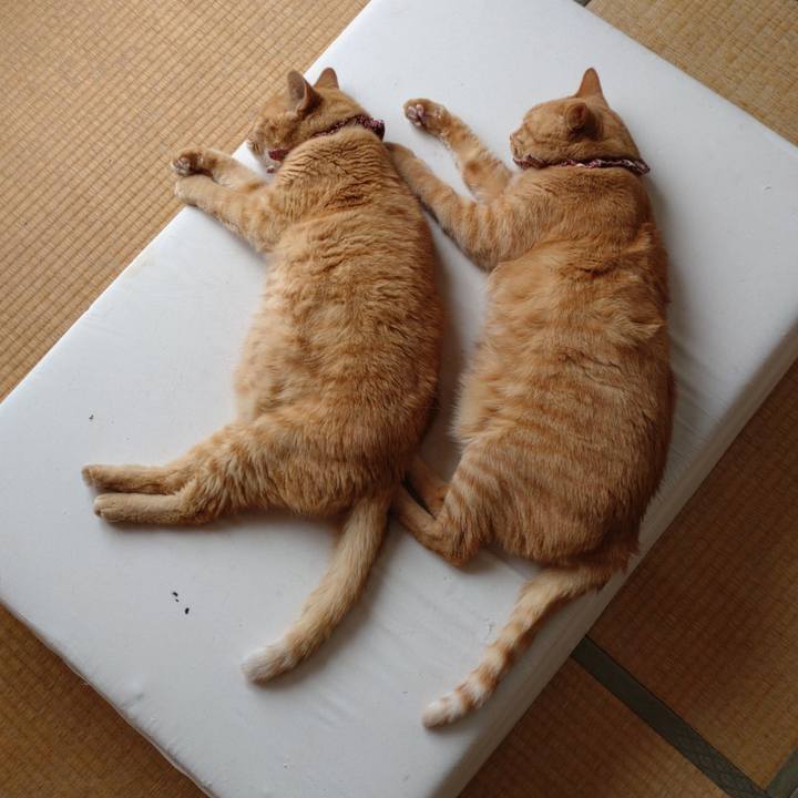 De9ed399 08a4 4225 a323 3b2069ef467c 1630206703568