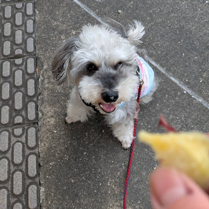 De9f4be6 7b16 409b b5dc 1973fa7f3ca4 1757754900745