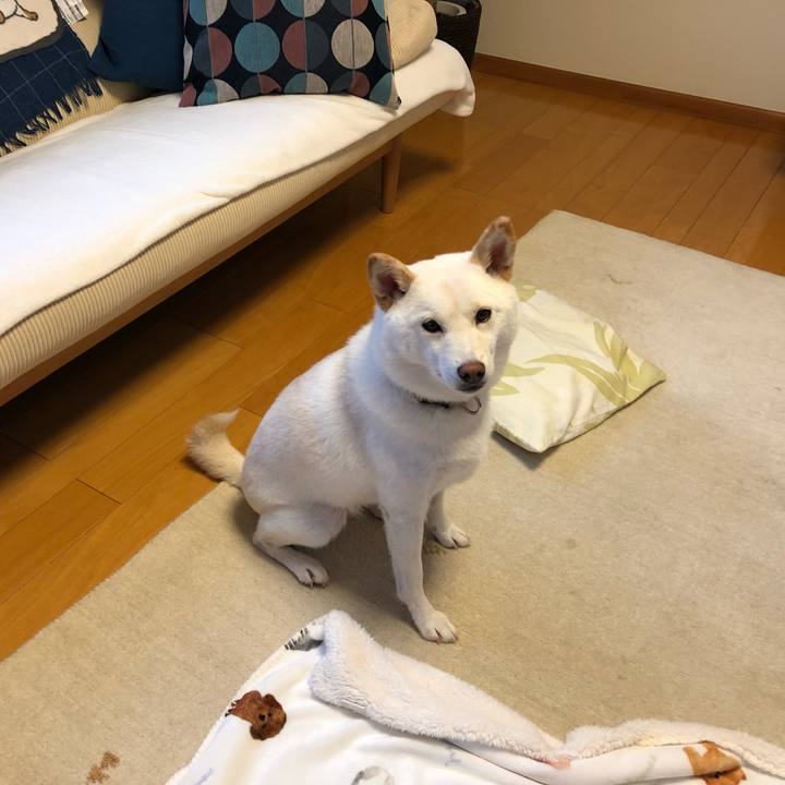 De9f657a d708 431a b184 d22fdbdfc9f1 1563141688614