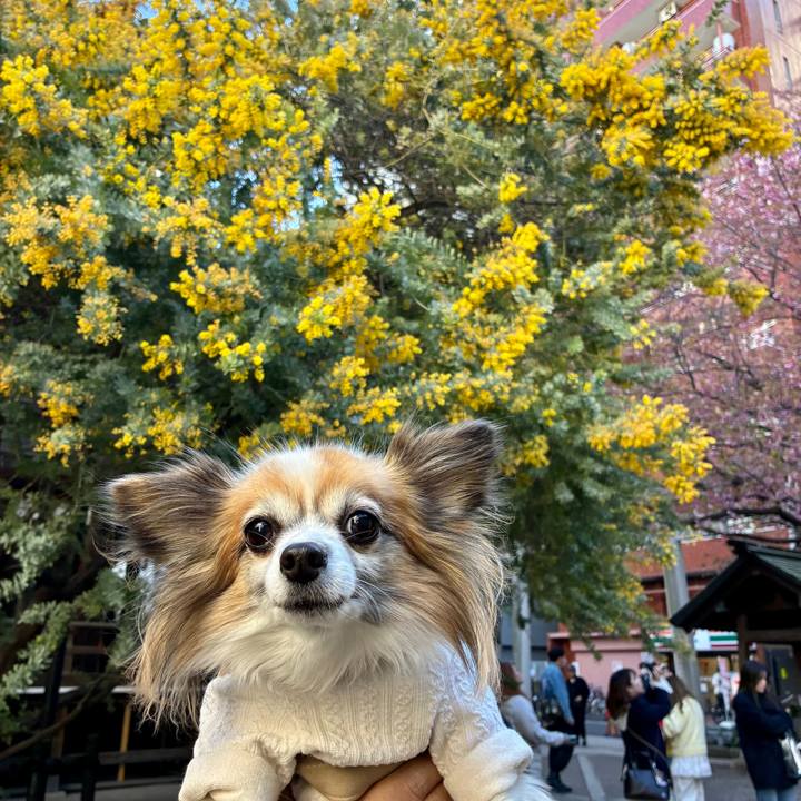 De9f7b68 8df6 4f87 816f dc90e52924dd 1773464101031