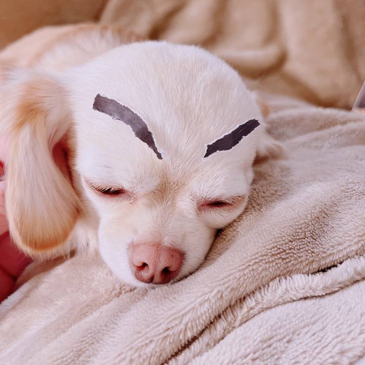 Dea00548 5c34 49c2 ae08 53669646b5f0 1677649591078