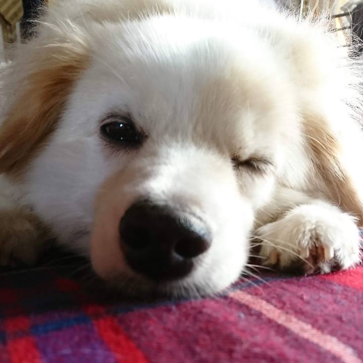 Dea00ddc b6ca 4c53 bc81 f4cabc519357 1639625625681