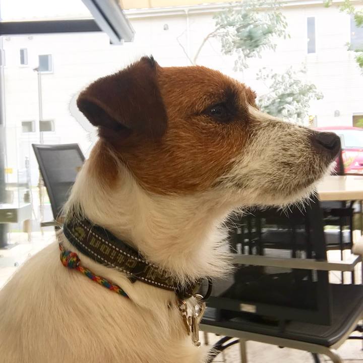 Dea0485f 657d 47e1 ac60 96989f6908e2 1509544091431