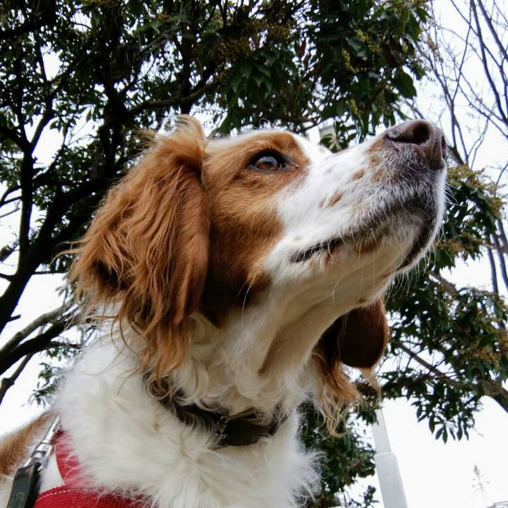 Dea052c8 5f91 4b21 8c77 b46db235f377 1551343757703