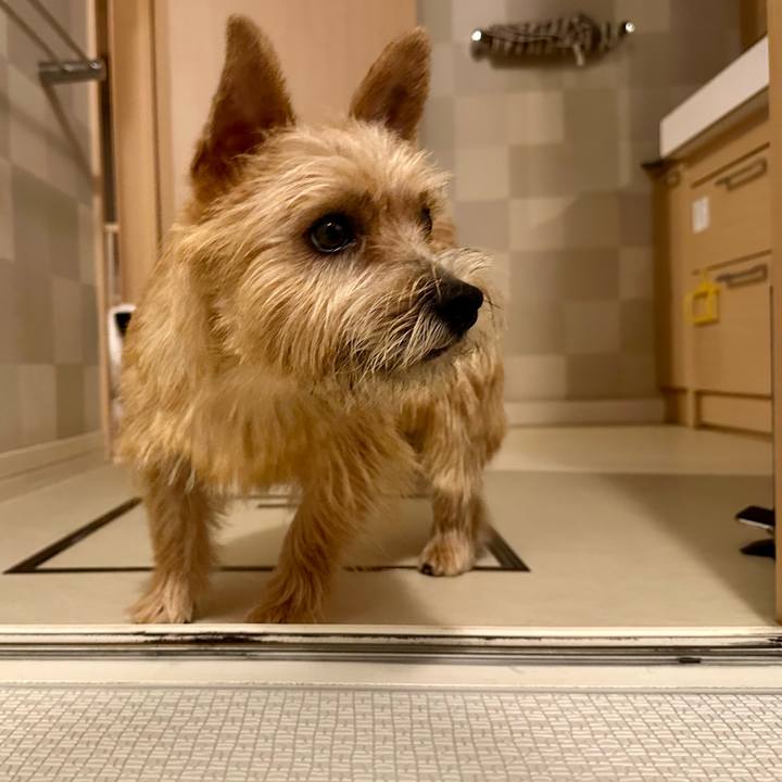 Dea09d3e c74d 4073 84eb a879404d1c9a 1729346176866