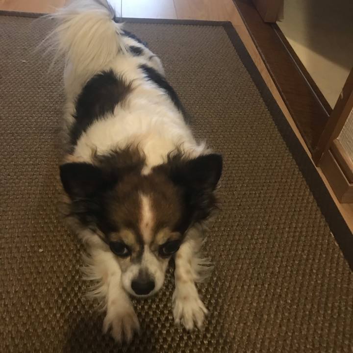 Dea0bf6e c3fb 4d8f 9aa3 23f9f8f6efe7 1636767931942