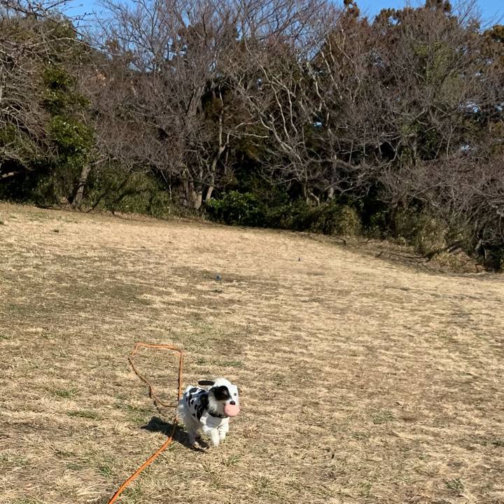 Dea0c209 c25e 40b9 8085 9942112168ef 1707700761678