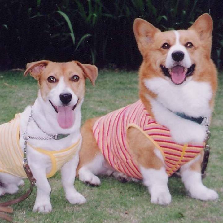 Dea0fff2 67d5 47ff a0fd 2c605b4f5c49 1511918369106