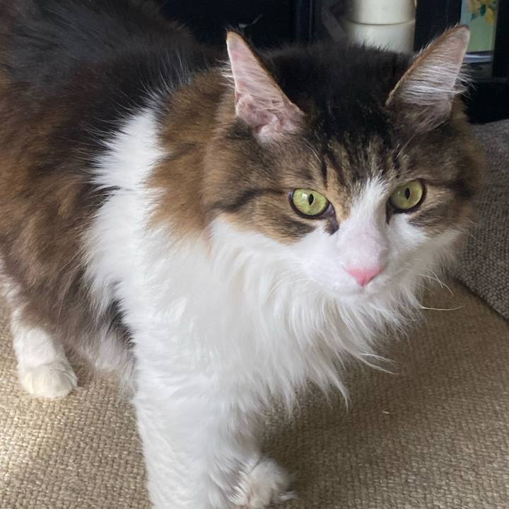 Dea10d2c a233 42b2 a97d a02bf4bd12c7 1733875795212