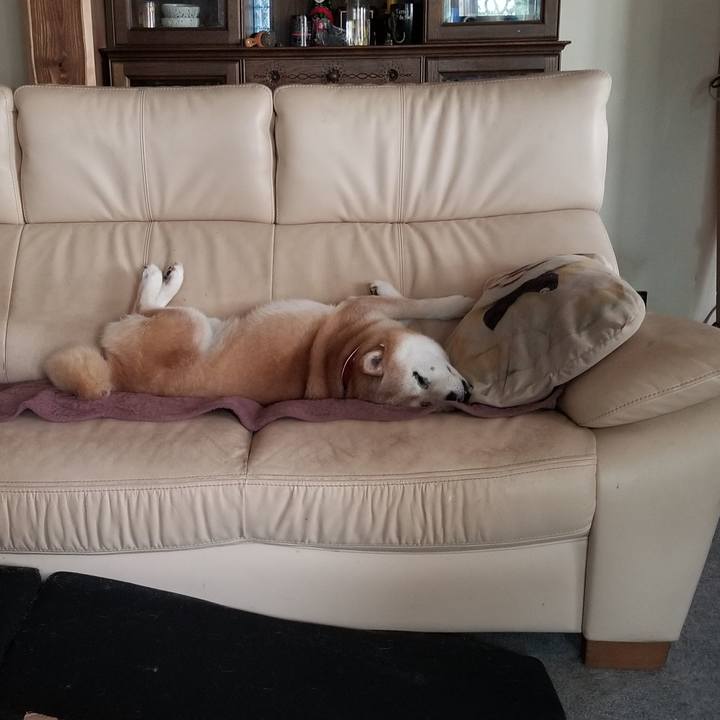 Dea10e69 195c 4974 a571 927a58b14fa5 1752643452398