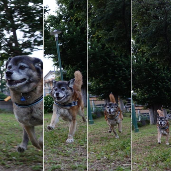 Dea18ce4 fd5f 4a62 aa2f 9eb536fd2c7b 1526899583524