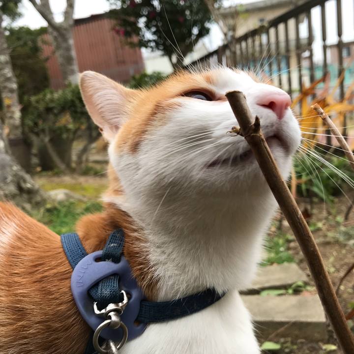 Dea1923b 1642 4c27 bf2f b9b18ff2e17a 1510622111459