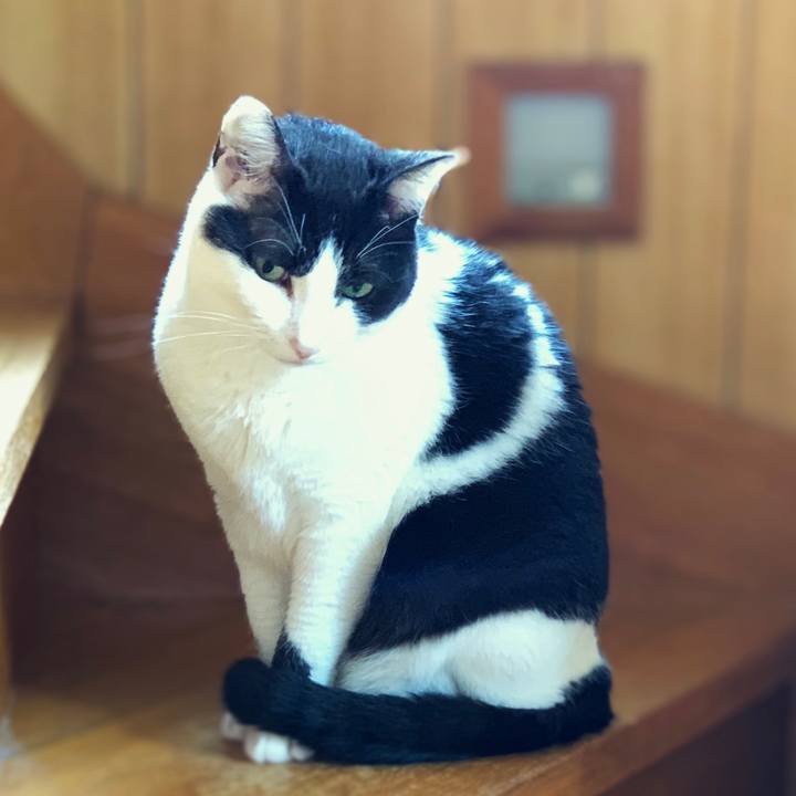 Dea19db4 f061 44b4 bc39 e9063edb3734 1596940863780