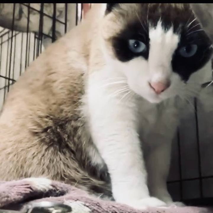 Dea1ade2 bb82 4d4c 8f8a 9eb7b5fcc146 1741427279052