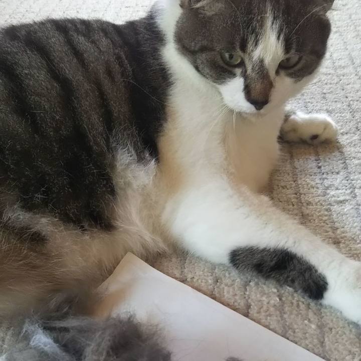 Dea1bd1f 24a5 4648 a134 88ffb6781ec2 1623893092755