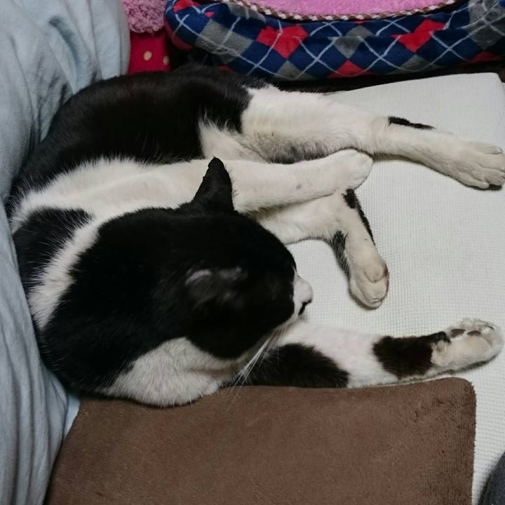 Dea1be96 a903 44da acfc 30df854d34ed 1519011371164