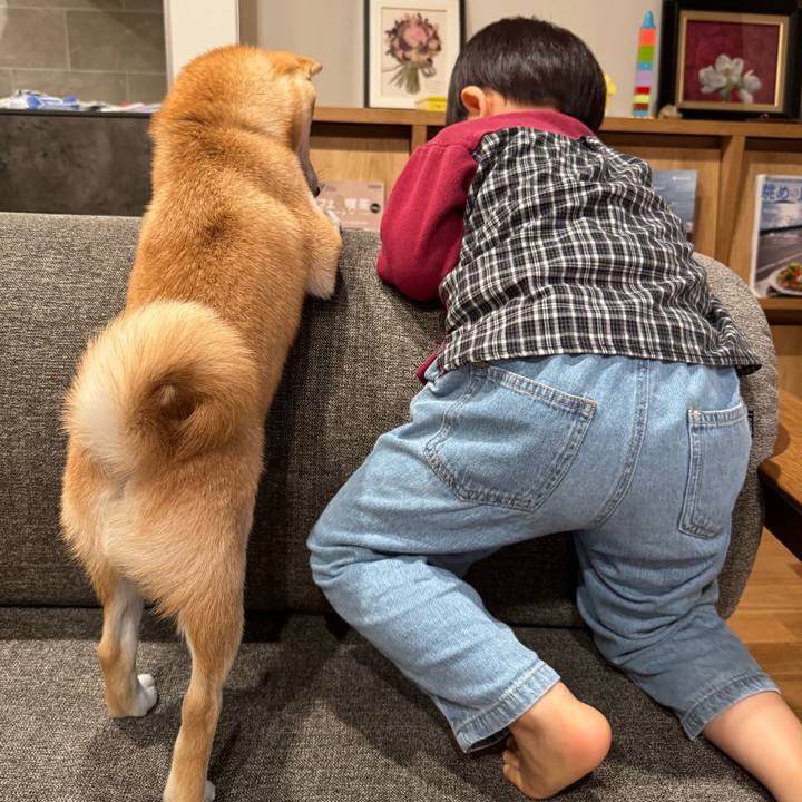 Dea1c240 4bec 4233 9dc8 ca75269e5bd9 1772192408829