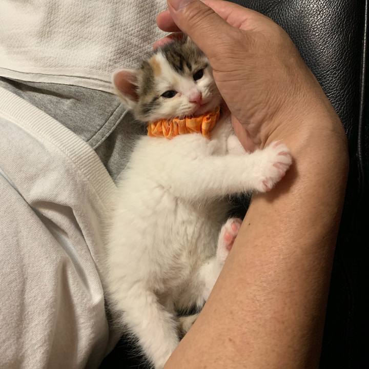 Dea1d64b 64a4 4774 9401 2eeda766ddb2 1589198480743