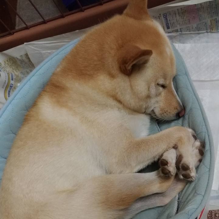 Dea1ef1b ed41 4623 91a5 f521ace25ff5 1570367249729