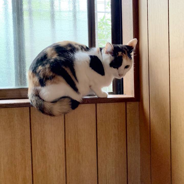 Dea20144 6fc8 43ed bfbd 3897843103f6 1540086225175