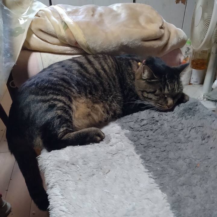 Dea20fbf 45e6 4113 adac f671e039dc16 1668468761347