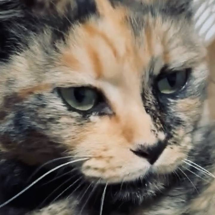 Dea22b1f 7078 47d6 89d1 faf81ef7dfd2 1752266394234