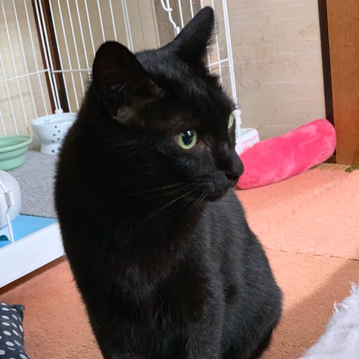 Dea22ea8 130d 4269 8234 10610b3609aa 1538012486343