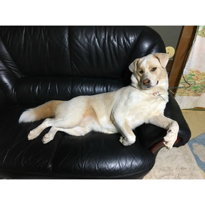 Dea2300c 4f63 4efb 9b59 95282ac2438c 1772014423573