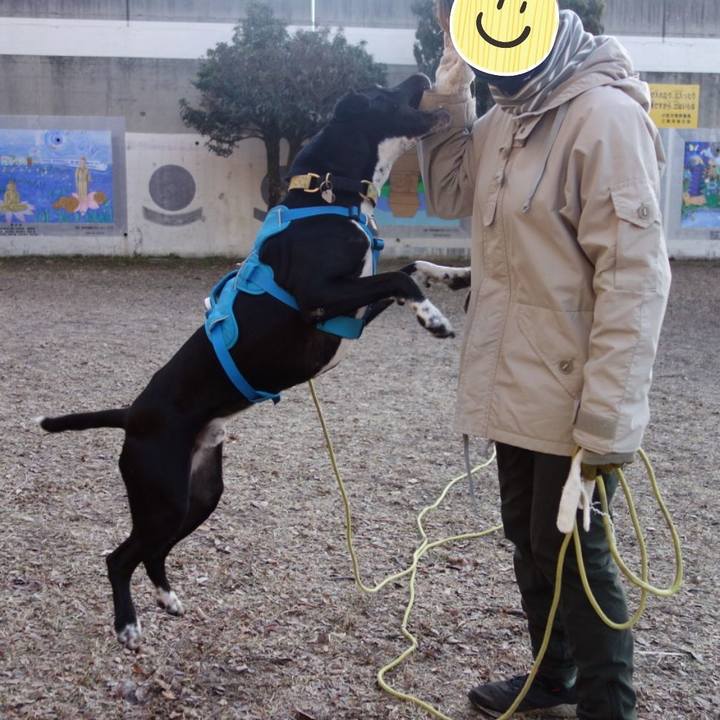 Dea235eb f2fb 4e36 a367 2da53ee2a357 1612484567216