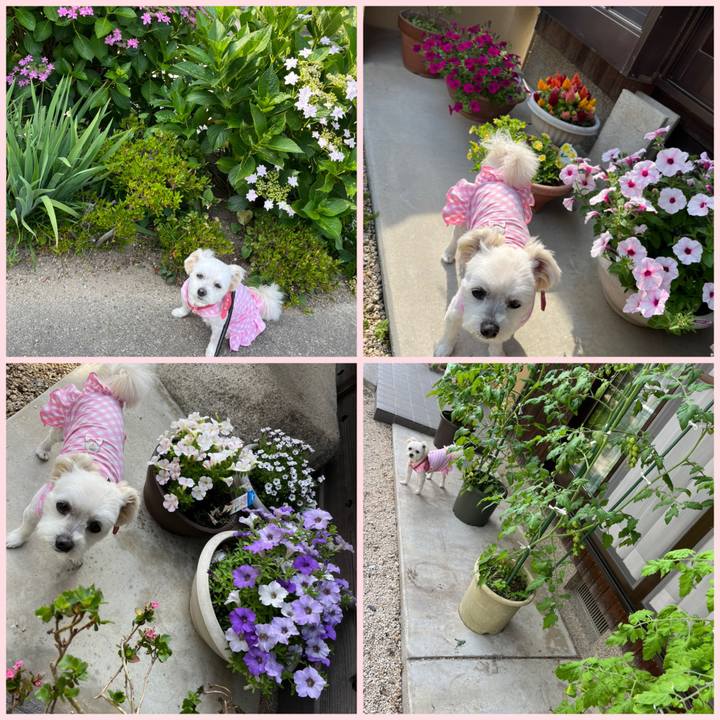 Dea24502 9145 449c 81a8 f2614aa20b71 1654860259612