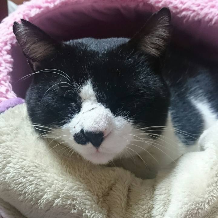 Dea2b09f 6e8a 4d2a bacf e46375bab74d 1511868376284