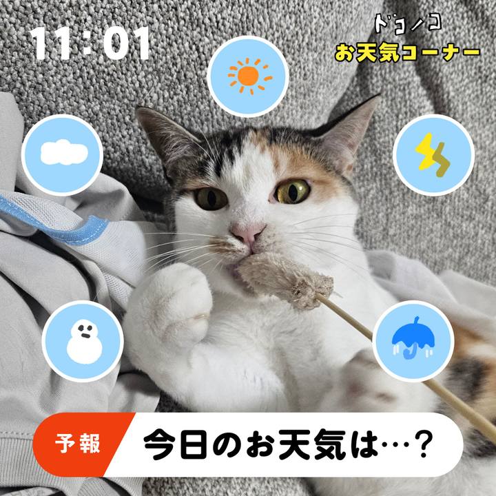 Dea2c7c8 9eb5 4a64 8b70 e6c6bba77121 1781767086435