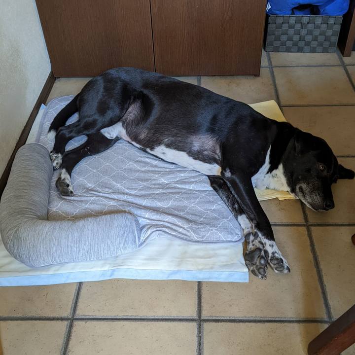 Dea2e762 733c 4cdb bbc4 281f6955c2ab 1690622249756