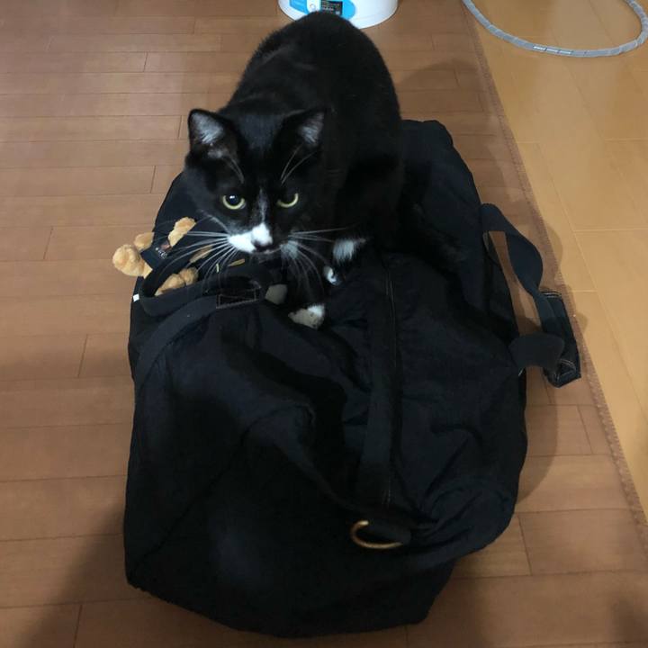 Dea2ec63 cf4e 40d1 896f 68ed466d0171 1542511822599