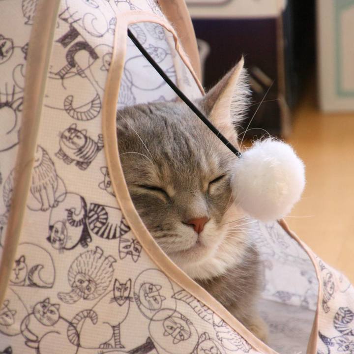 Dea2ee34 2ed6 433e a766 9c0edefa7928 1532415873524