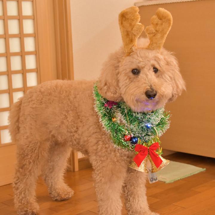 Dea2fb34 5736 4ab6 aba6 3dfb0f6c283c 1513501389678