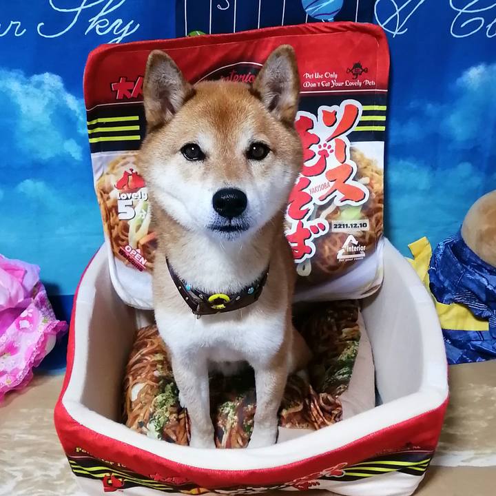 Dea2fd14 7846 4a02 a008 d67ad90f132f 1628942623180