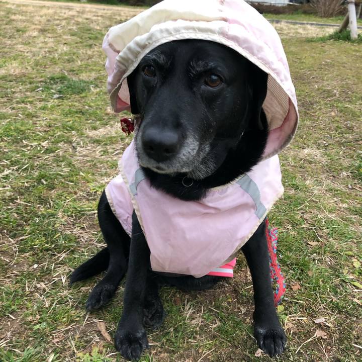 Dea33a78 cba7 4b3a a1d8 4fcdc8c8ecff 1581667097724