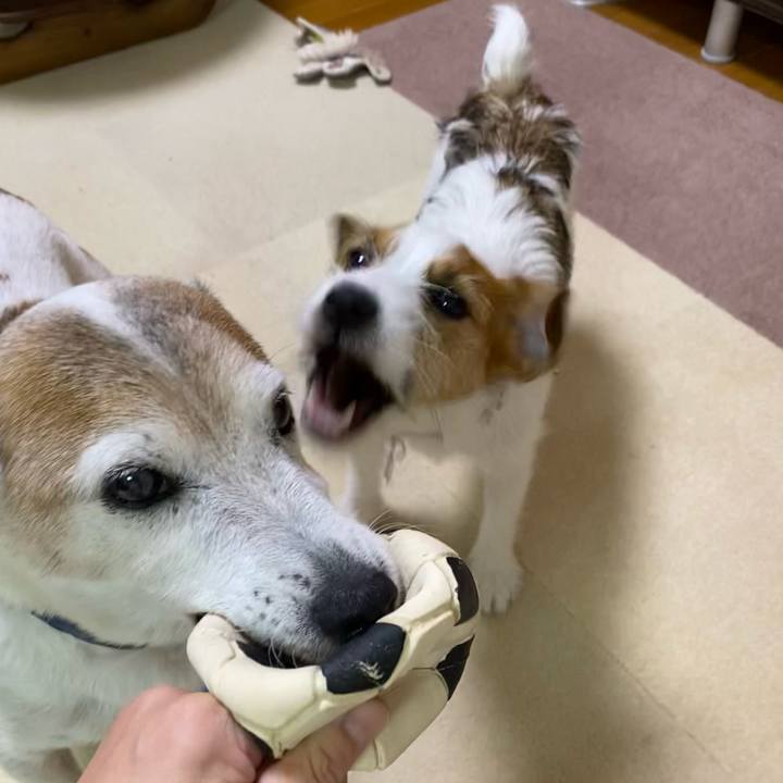 Dea34b7f f573 495b b1c6 5ed24c10f999 1627941045943