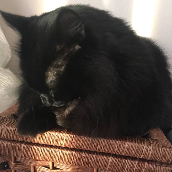 Dea34d21 7fa5 409a a5bf a0ad58ffbe55 1544259496594