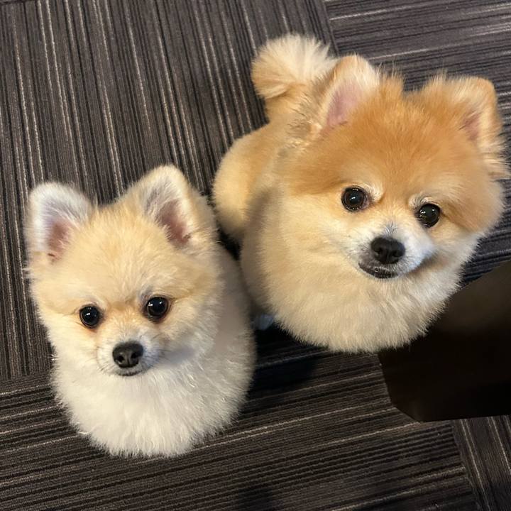 Dea35213 a822 4ae6 adde 05c0edd42d39 1730509070540