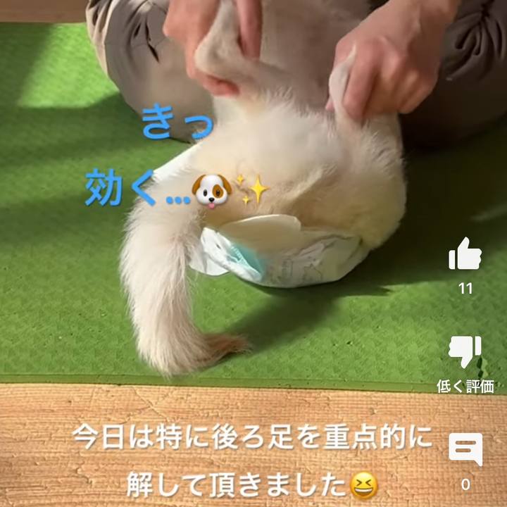 Dea38ccd 1cfe 4fb9 ace0 df3114b0426c 1708430319175