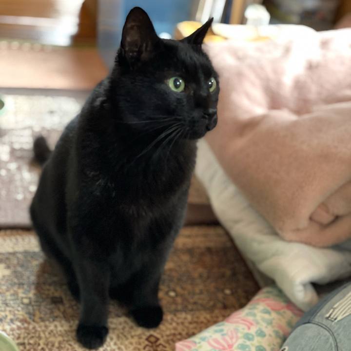 Dea3b88d 0f35 4b26 ba91 d957735f0b7a 1617843163088