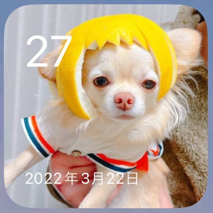 Dea3f447 93c5 42e5 a8dc 1e5985c88025 1679886552171